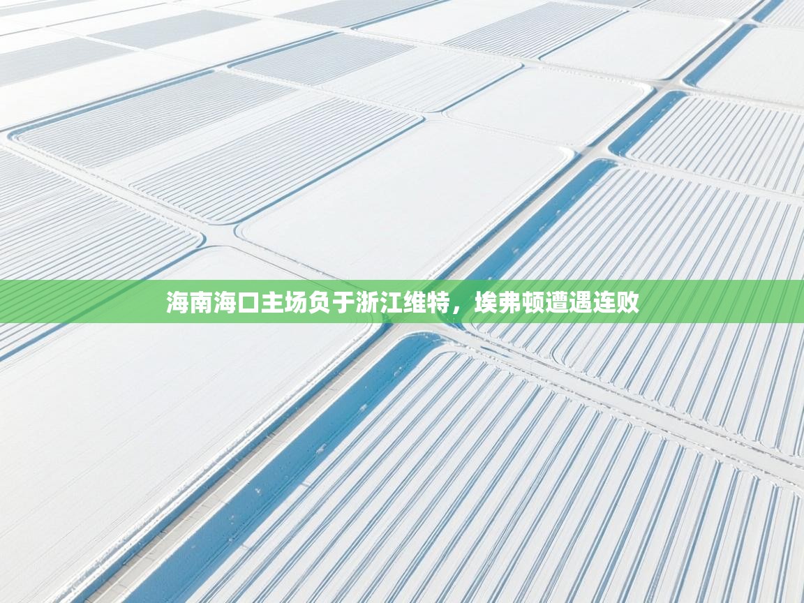 开云体育绑定手机指南-海南海口主场负于浙江维特,埃弗顿遭遇连败  第3张