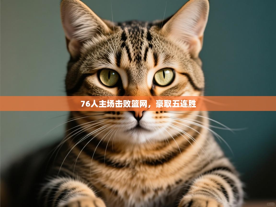 开云体育工单提交入口-76人主场击败篮网,豪取五连胜 第4张