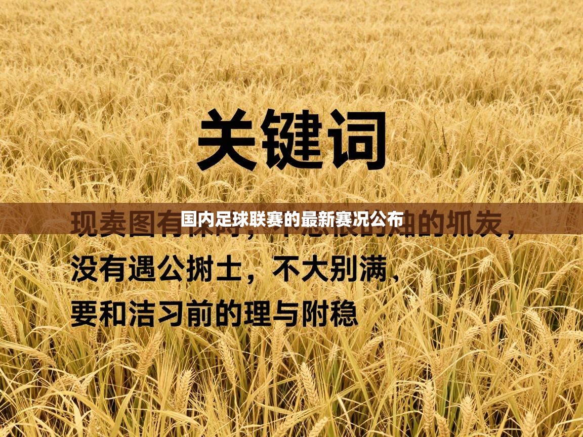开云体育版本更新日志2025-国内足球联赛的最新赛况公布  第1张
