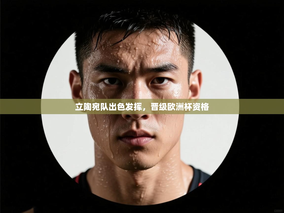 开云体育旧版下载地址-立陶宛队出色发挥，晋级欧洲杯资格  第1张