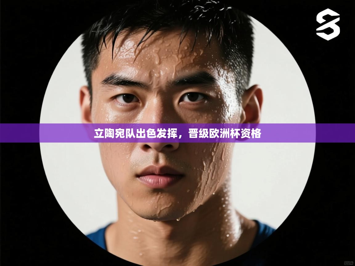 开云体育旧版下载地址-立陶宛队出色发挥，晋级欧洲杯资格  第3张