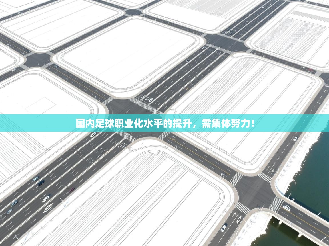 云开体育app官网入口网页版-国内足球职业化水平的提升，需集体努力！