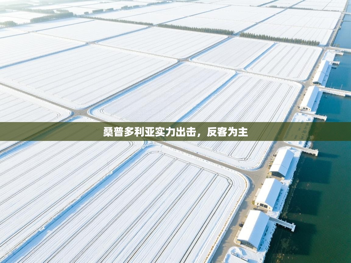 开云网页版-桑普多利亚实力出击，反客为主  第1张