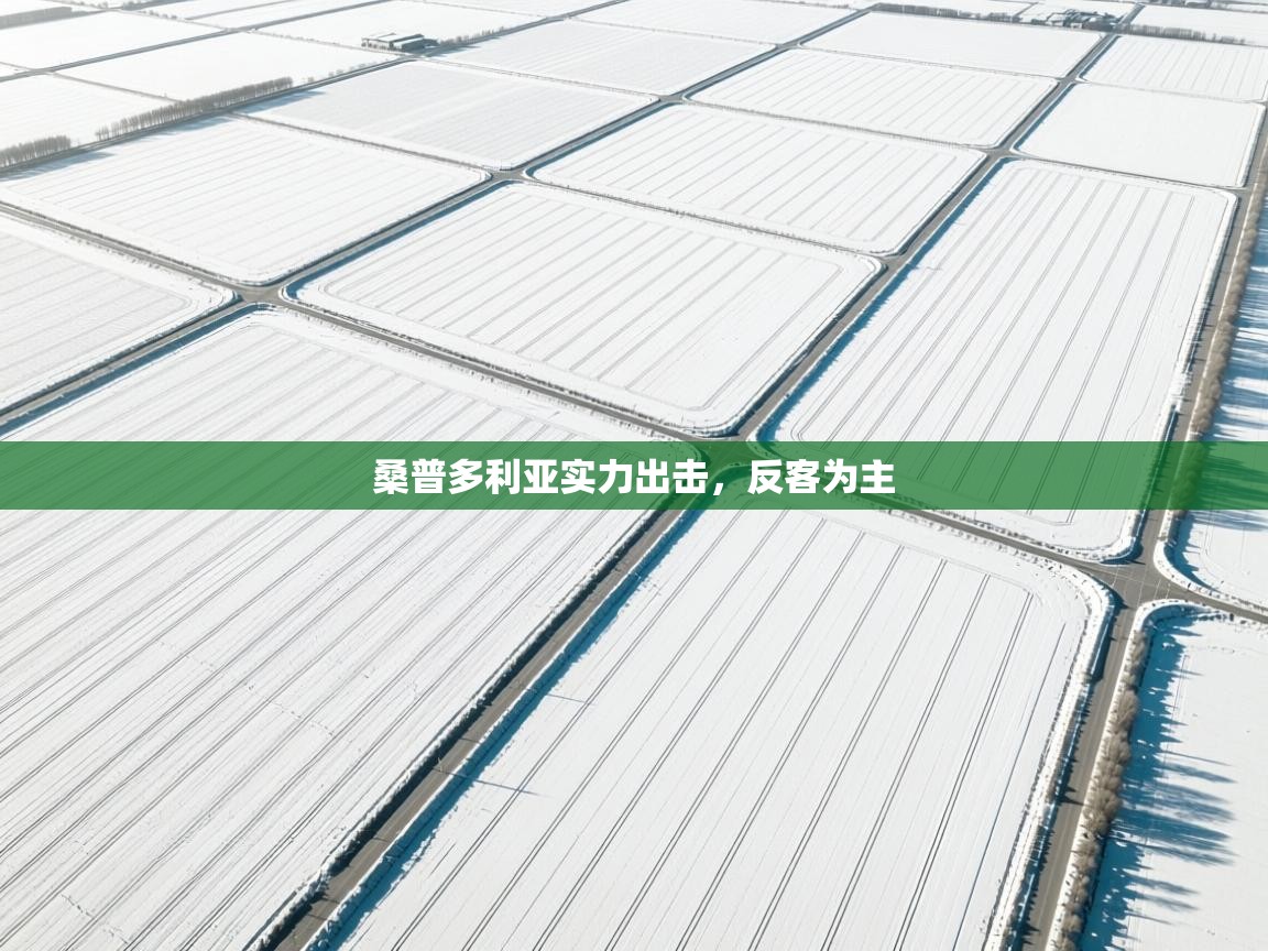 开云网页版-桑普多利亚实力出击，反客为主  第4张